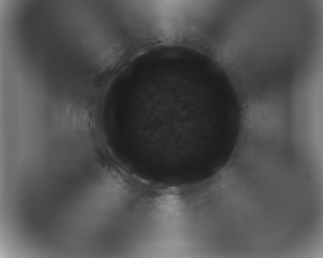 X0000054730266200508171859.png