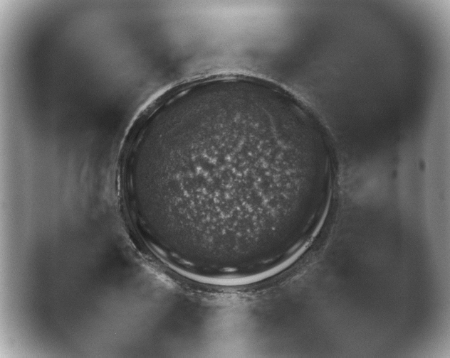 X0000043500790200412201805.png