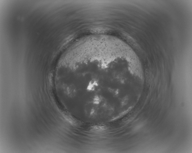 X0000054350071200508190139.png