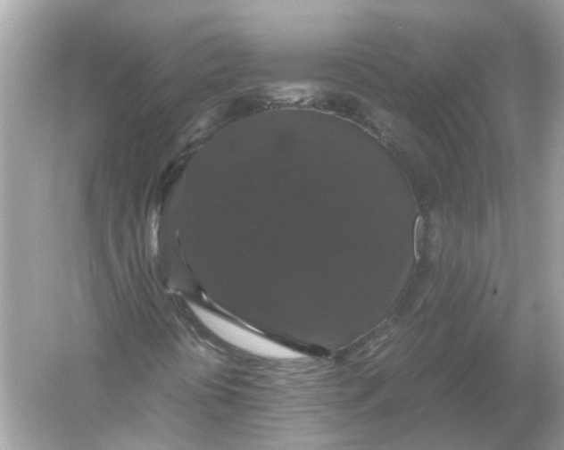 X0000054351394200508190116.png
