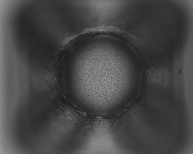 X0000043161158200411300937.png