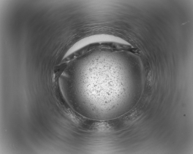 X0000054300424200508042315.png