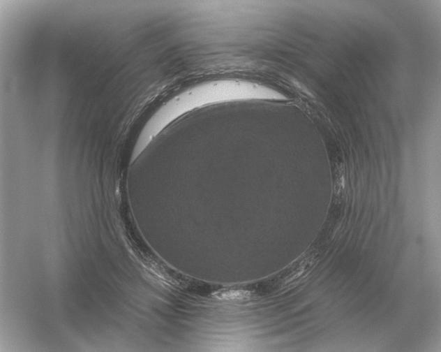 X0000054350452200508190132.png