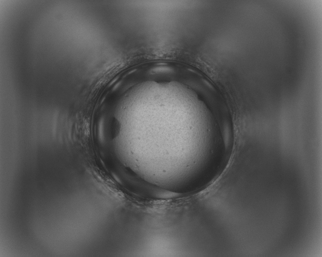 X0000040040191200410070855.png