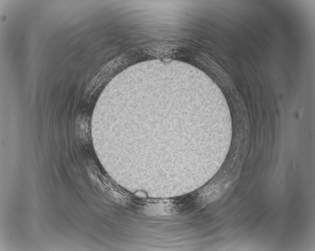 X0000054580288200508300109.png