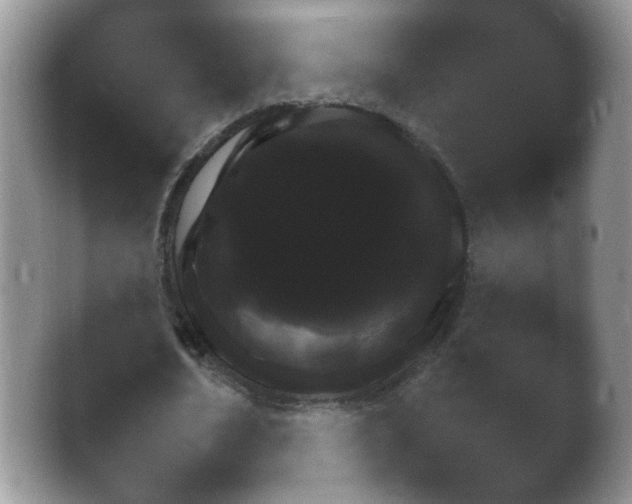 X0000042480674200412062044.png