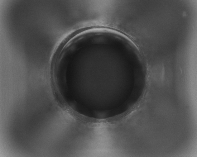 X0000054730200200508171900.png