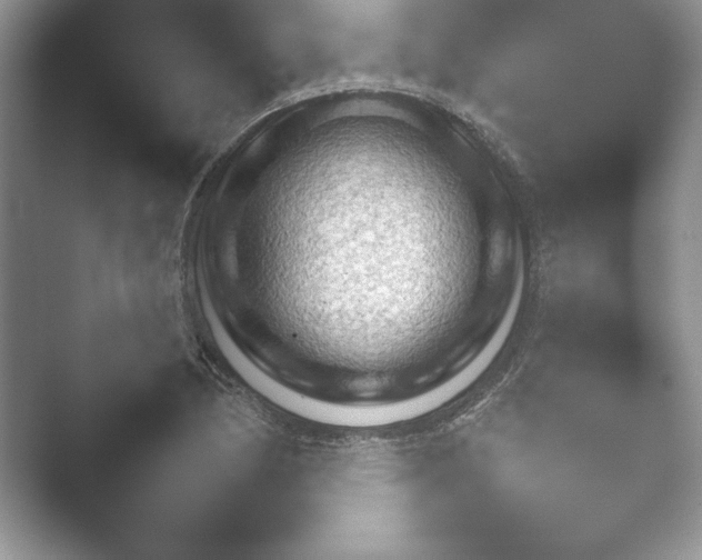 X0000052451170200507211306.png