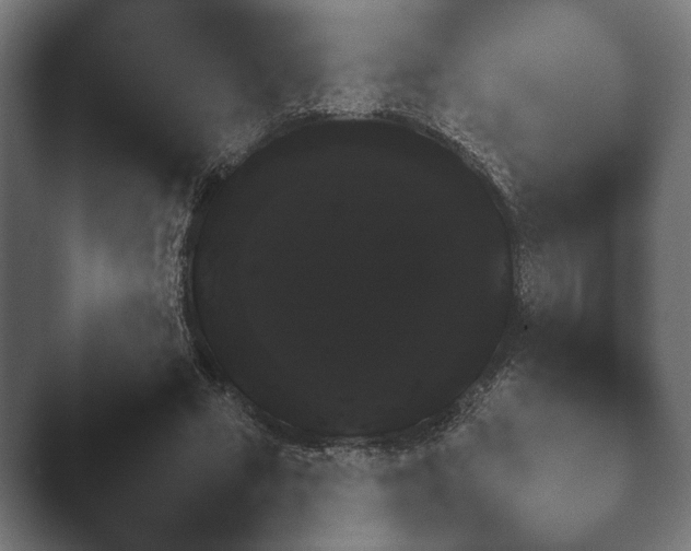 X0000047470681200503091559.png