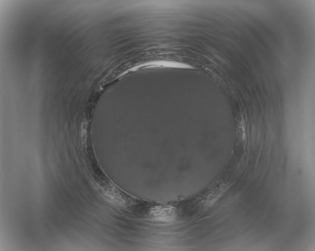 X0000054350271200508190136.png