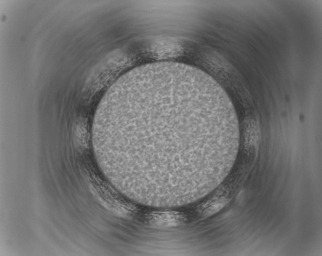 X0000054580316200508300107.png