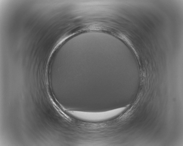 X0000054350795200508190127.png