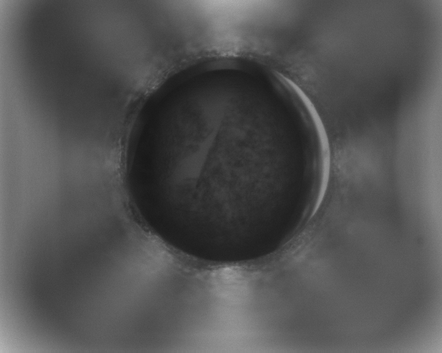 X0000054730365200508171858.png