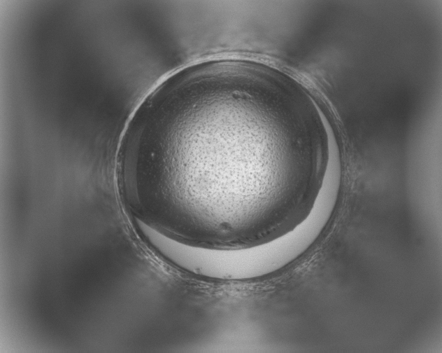 X0000052710908200508022308.png