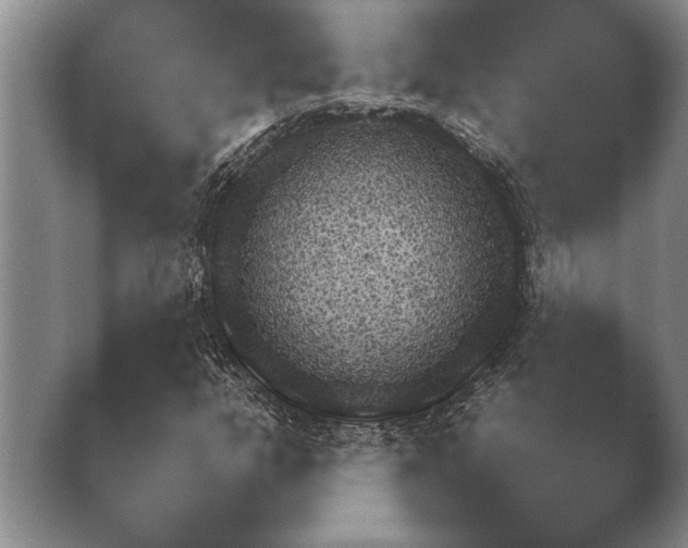 X0000038921302200409290954.png