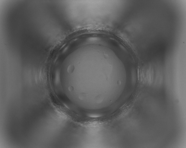 X0000052150205200507052000.png