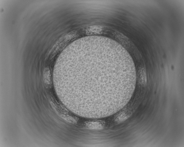X0000054580224200508300109.png