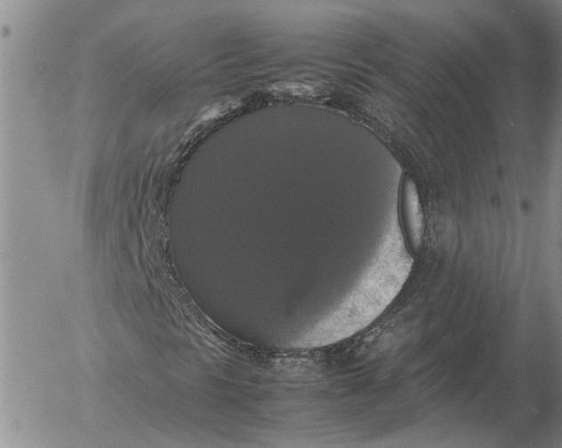 X0000054171297200508101749.png