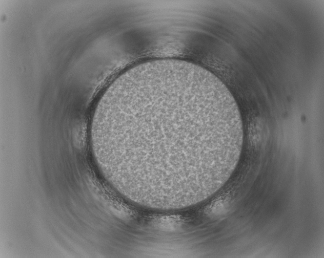 X0000054580304200508300107.png