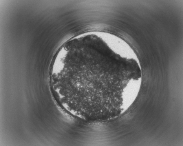 X0000053461042200508112152.png