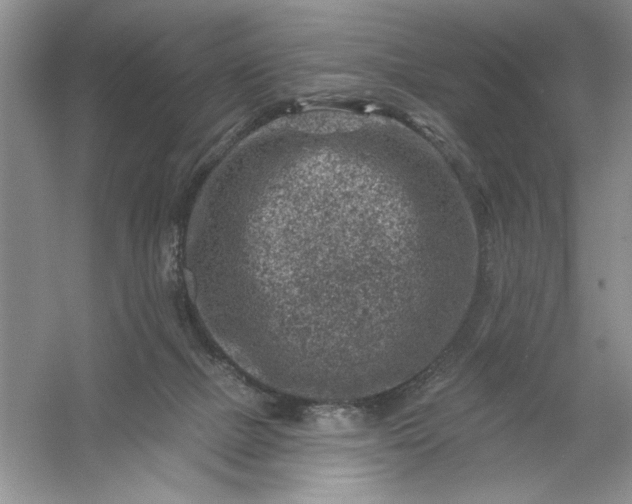 X0000054300073200508042321.png