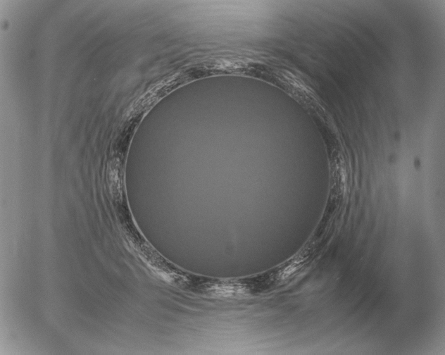X0000054170415200508101804.png