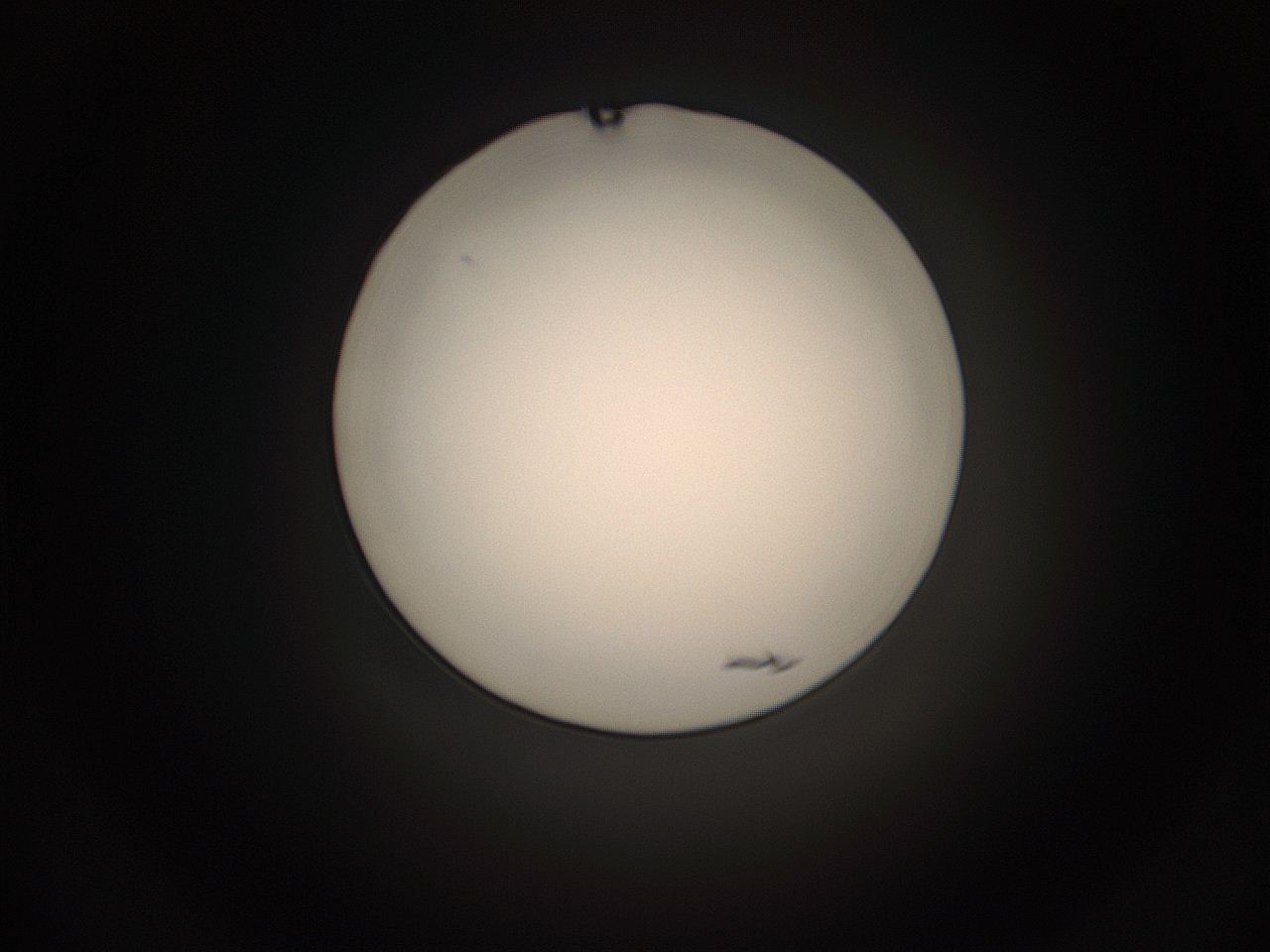 05g4_K11_ImagerDefaults_1.jpg