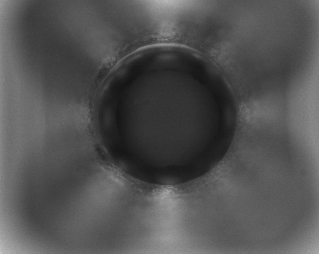 X0000054730564200508171855.png