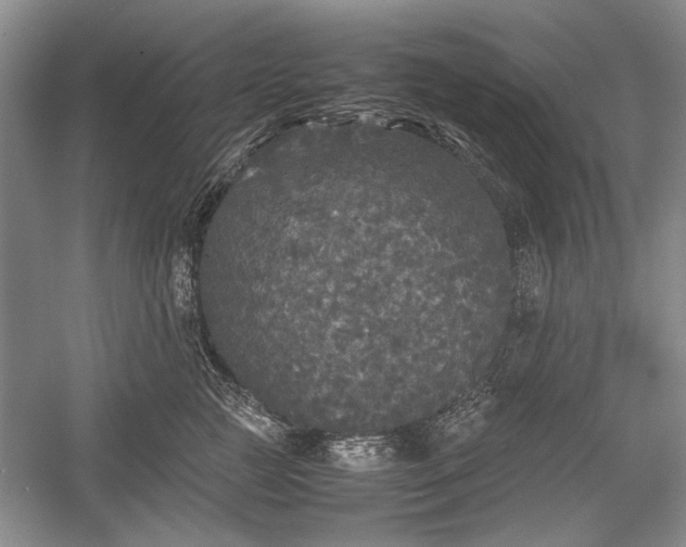 X0000055060761200508161645.png