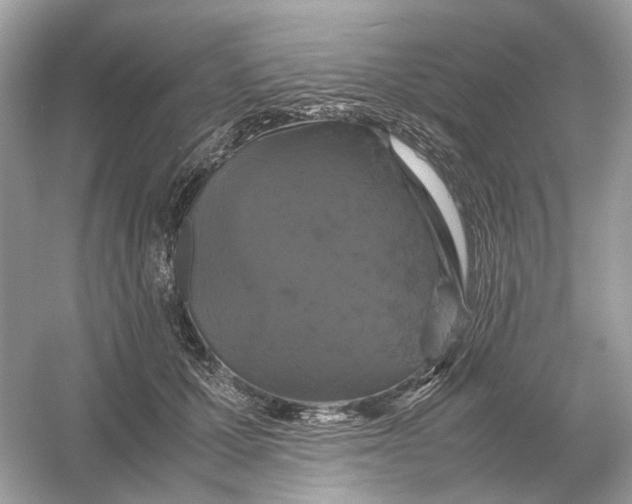 X0000054350607200508190130.png