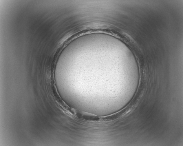 X0000054271065200508261910.png