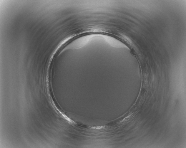 X0000054351331200508190118.png