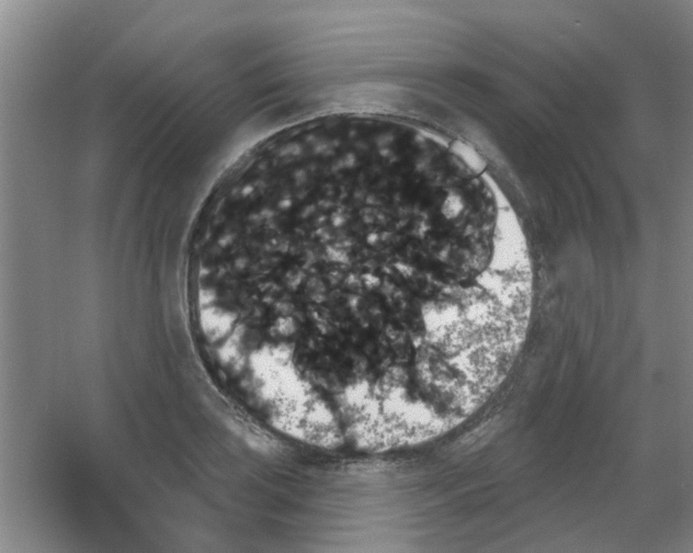X0000053461035200508112152.png