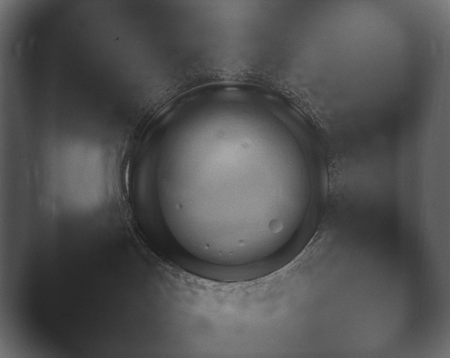 X0000048530047200503171522.png