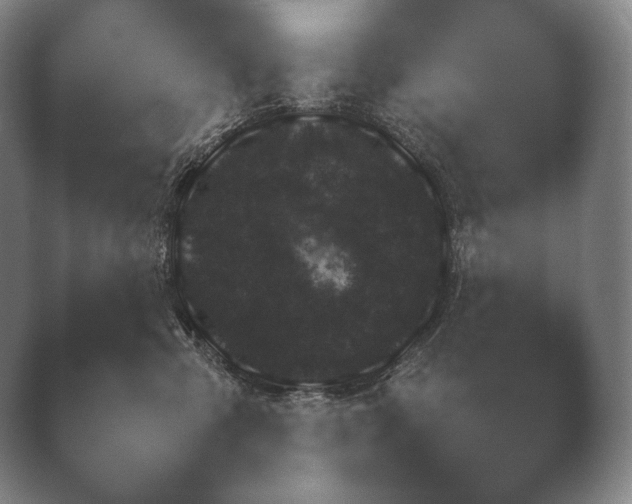 X0000038850427200410131833.png