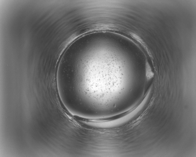 X0000054301089200508042304.png
