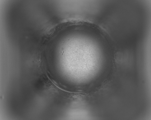 X0000054111015200508022053.png