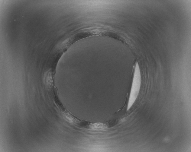 X0000054350137200508190138.png