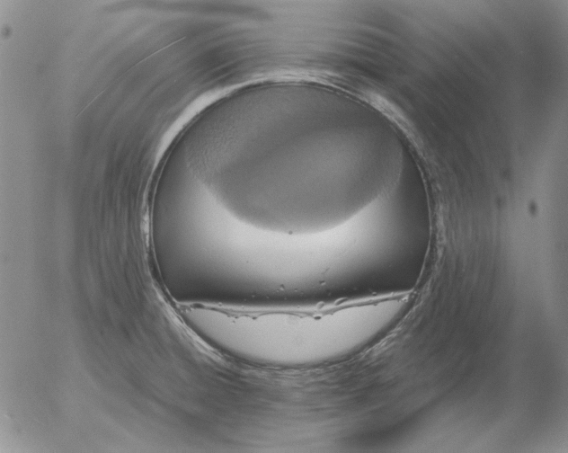 X0000054171428200508101748.png