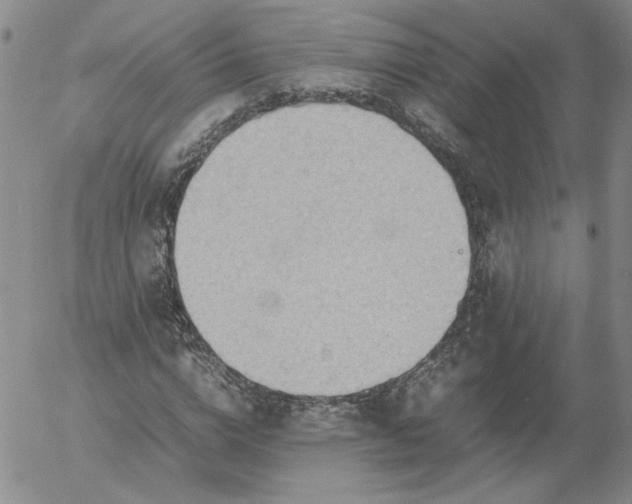 X0000054650824200508091639.png