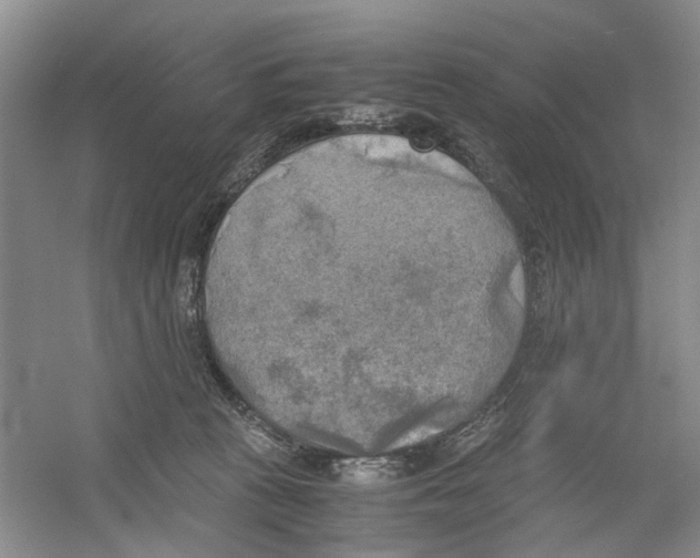 X0000054270273200508261924.png
