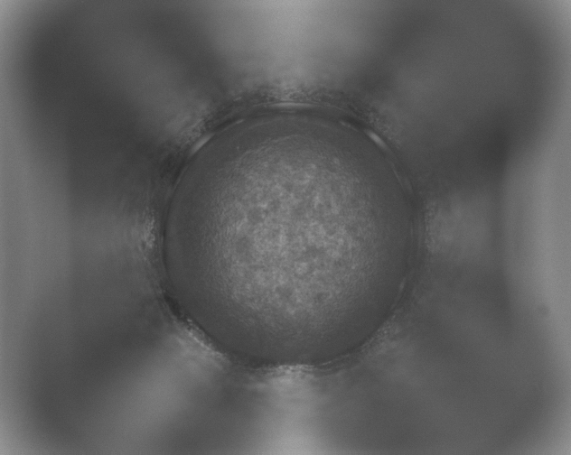 X0000052150077200507052002.png