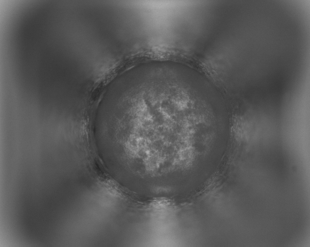 X0000052150619200507051953.png