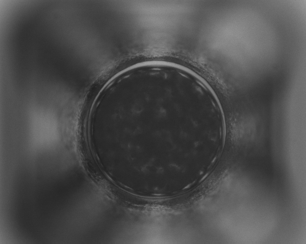 X0000047470539200503091601.png