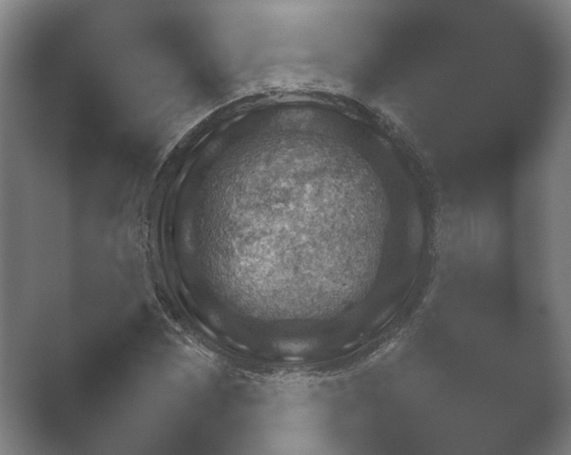 X0000052281065200507132022.png