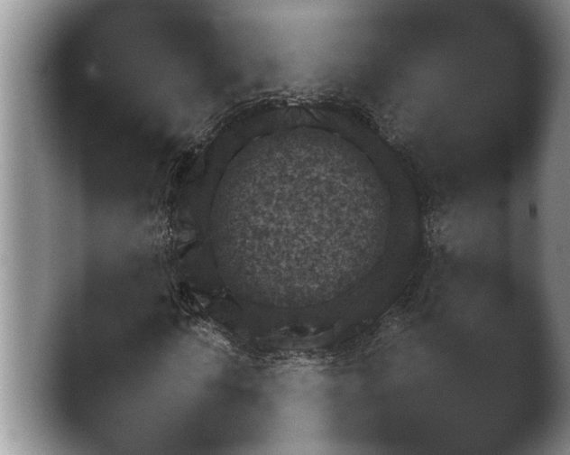 X0000042521010200411291152.png