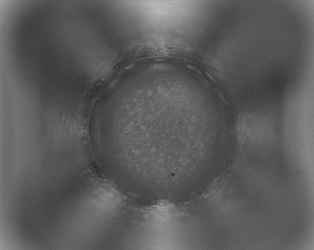 X0000052150314200507051958.png