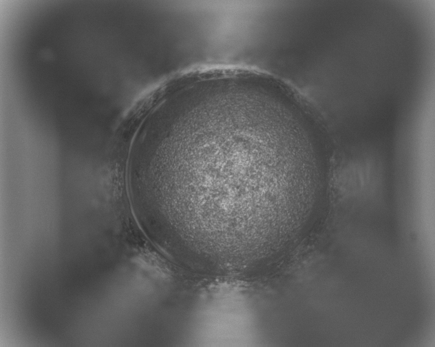 X0000052151351200507051941.png