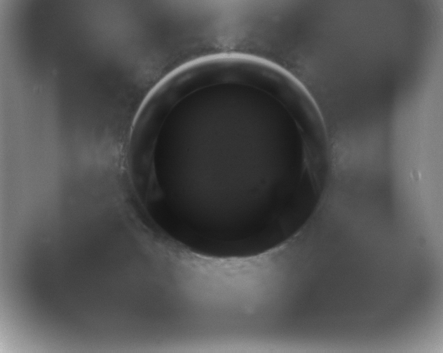 X0000054730031200508171903.png