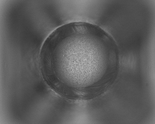 X0000054111068200508022053.png